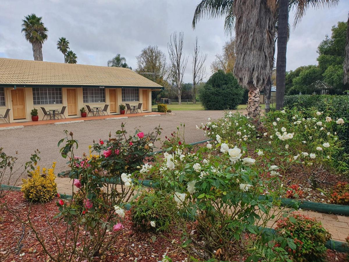 The Aston Motel Tamworth Exterior photo